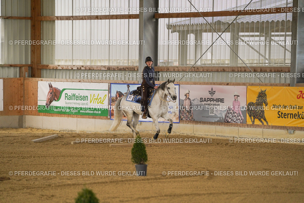 DSC05498 | Pferdegrafie