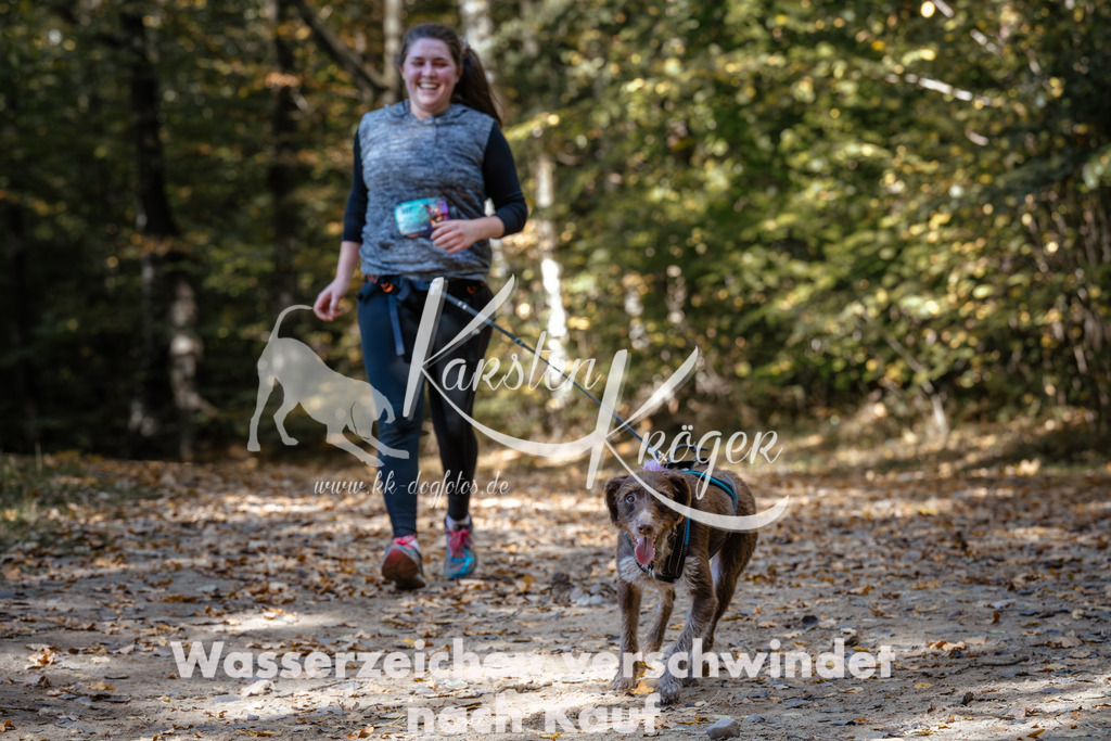 1242_ZZ95919 | kk-dogfotos