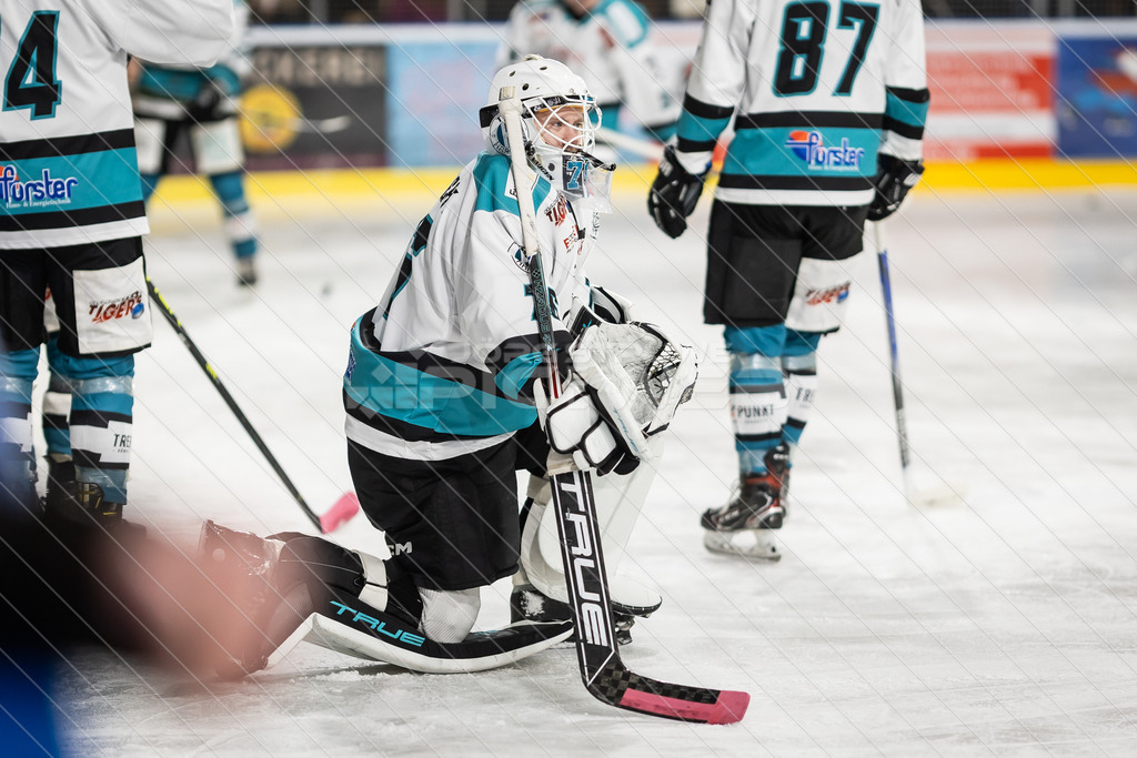 20251228_Picselweb-Fotografie_2R3_0319 | Dein Fotograf aus dem Landkreis Stade für Sport und Events - Realisiert mit Pictrs.com