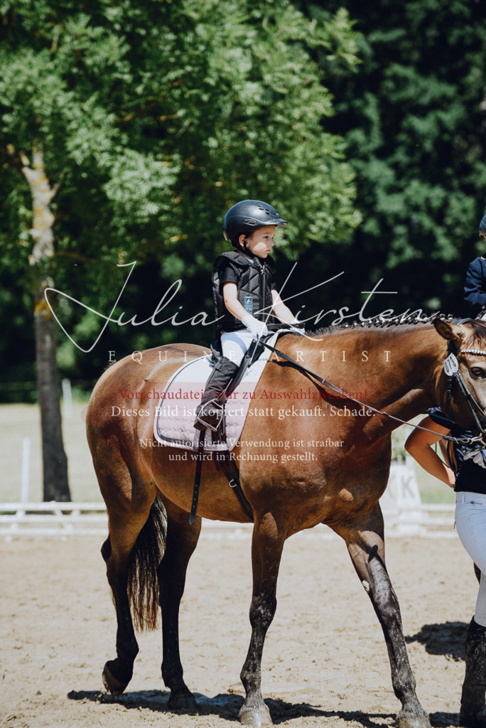 DSC_2640 | Pferde- und Turnierfotografie in Westsachsen. Pferdeportraits, Auftragszeichnungen und intuitive Kunst.