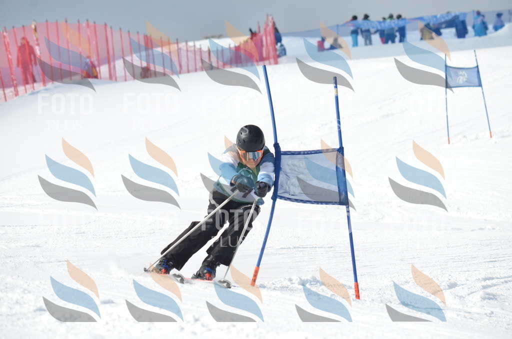 D8980 | holidayphoto