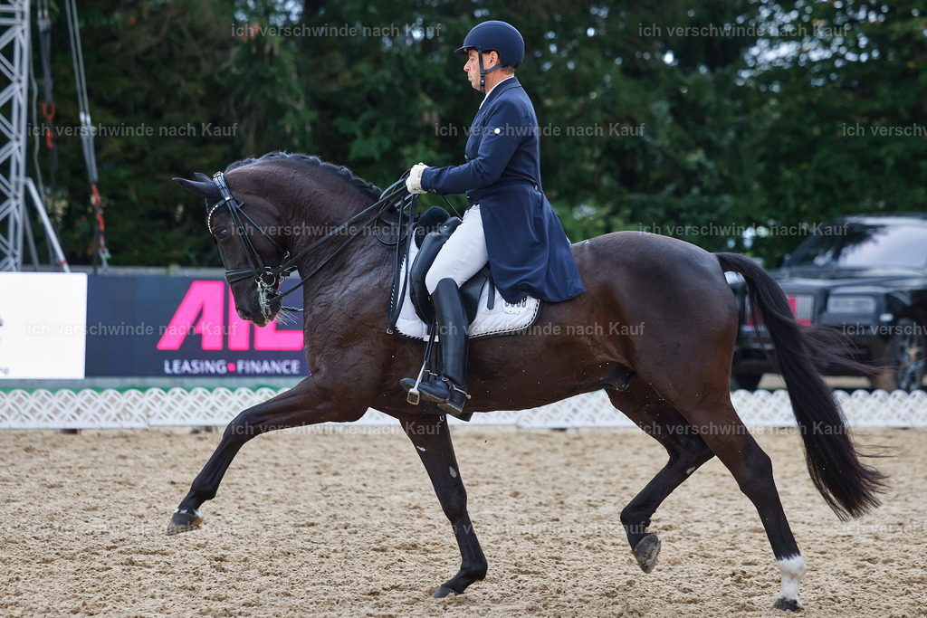 12-058-DRESSUR  S___  -StoibPH-5368 | working equitationturnier fotograf videograf stoibphotography marixx film working equitation deutschland reitsport turnierfotografie eventfotografie equestrian events