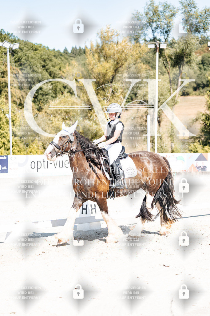 CK902995 | Turnierfotografie Pferdefotografie Trier Rheinland-Pfalz Pferdesport Reitsport Tierfotografie Sportfotografie Pferdevideo Pferdevideografie Equestrianvideography equestrianphotography  - Realisiert mit Pictrs.com