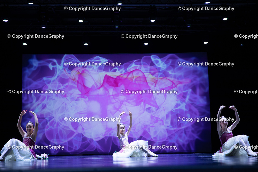 GPHY4806 | DanceGraphy - Realisiert mit Pictrs.com