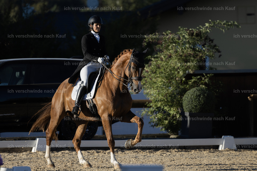 FHC2026_P09_204_19185 | Fichtenhof Classics 2026 – Grand Prix de Dressage - VOLTAIRE Design Preis, Reitanlage Fichtenhof, Sch ftlarn