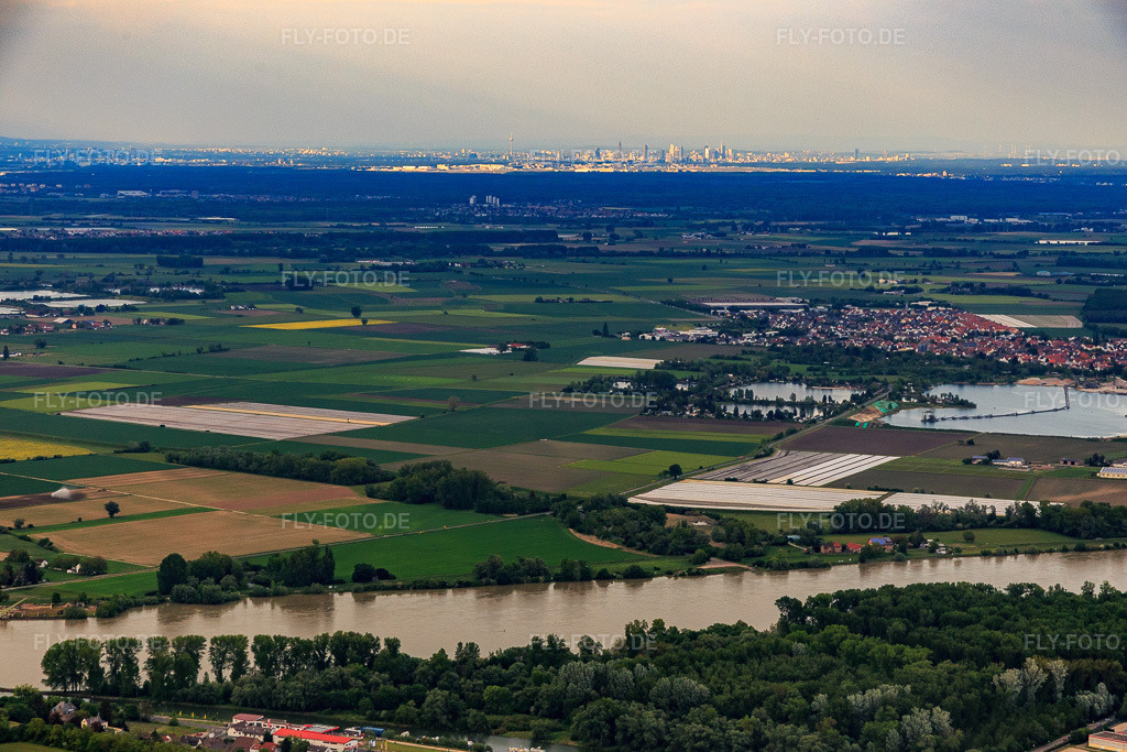 Luftbild: Skyline Frankfurt am Main vom Rhein bei Oppenheim aus im Ortsteil Niederrad in Frankfurt im Bundesland Hessen in Deutschland. Foto: IMG_088491.jpg vom 17.05.2016 durch Werner Riehm/FLY-FOTO.de