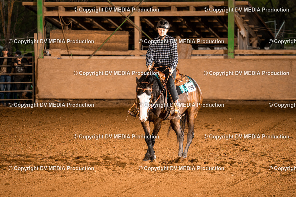 BAL01096 | dv-media-shop - Realisiert mit Pictrs.com