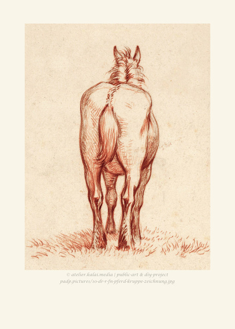padp-pictures-10-dr-r-fn-pferd-kruppe-zeichnung | Bildidee ❤ Günstige Poster 20x30 ab 4,99 € in Galeriequalität. ► Lizenzfreie Traumposter und Kunstkopien direkt im Bilderdepot der Artothek herunterladen, kaufen oder bestellen ❤ Public-Art & DIY-Project ❤ - Realisiert mit Pictrs.com