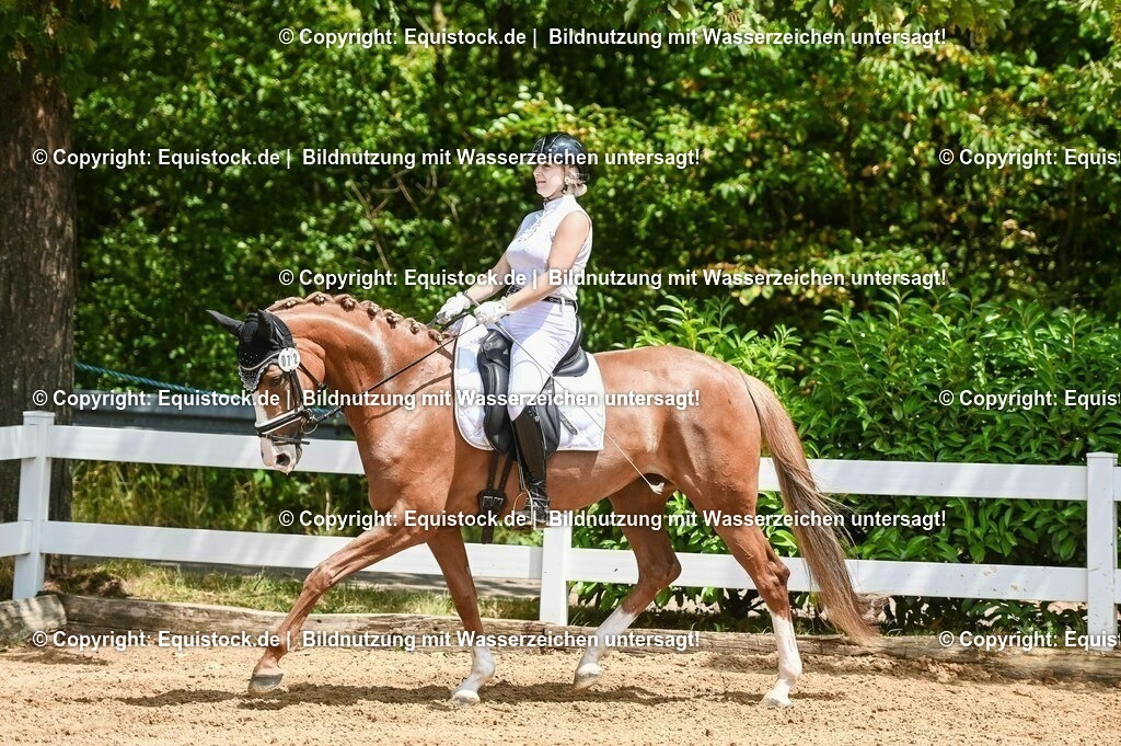 20230716_03_Dressurprfg. Kl.L - Tr._0472 | equistock