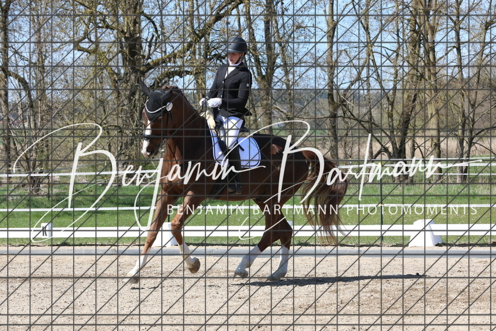 AZ2A4314 | Benjamin Bartmann Photomoments