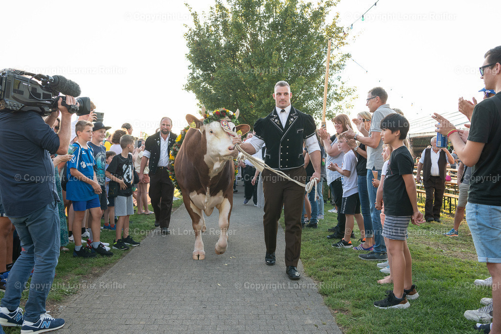 Schwingen -  Unspunnen Empfang 2023 | Wigoltingen, 2.9.23, Schwingen - Unspunnen Empfang.