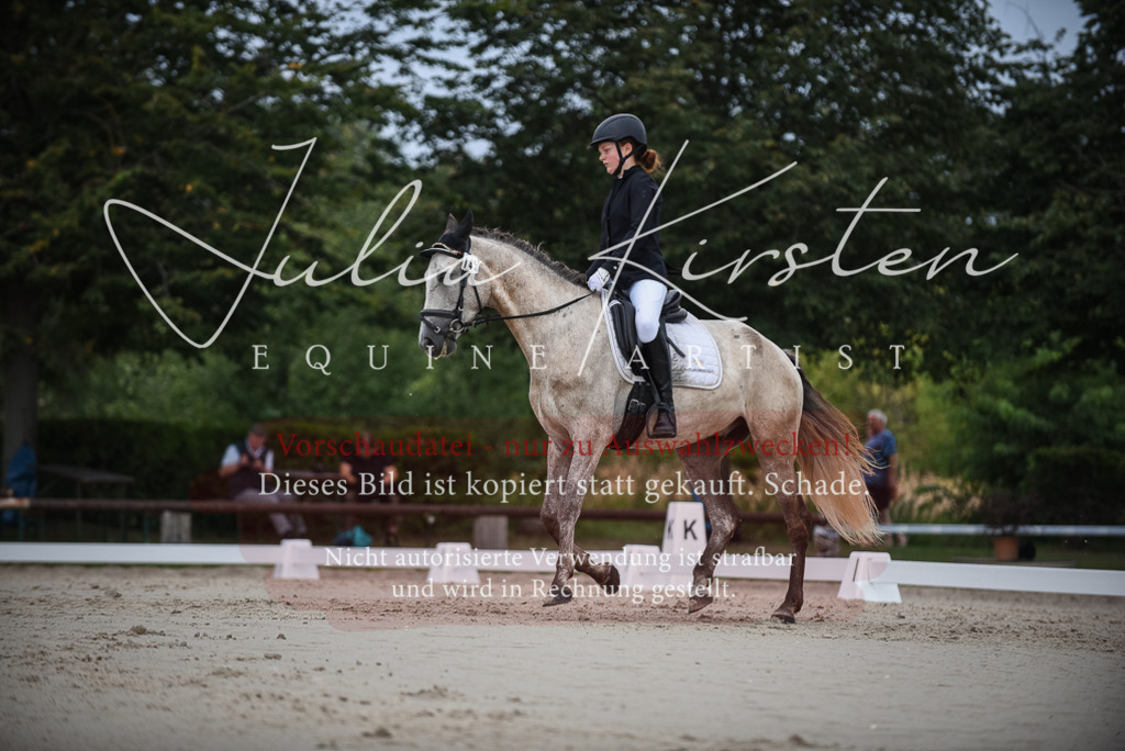 DSC_8217 | Pferde- und Turnierfotografie in Westsachsen. Pferdeportraits, Auftragszeichnungen und intuitive Kunst.