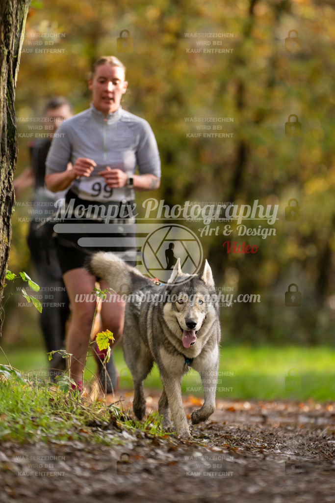 MompixPhotography_Bischwiller23_Canicross-65 | PayLife