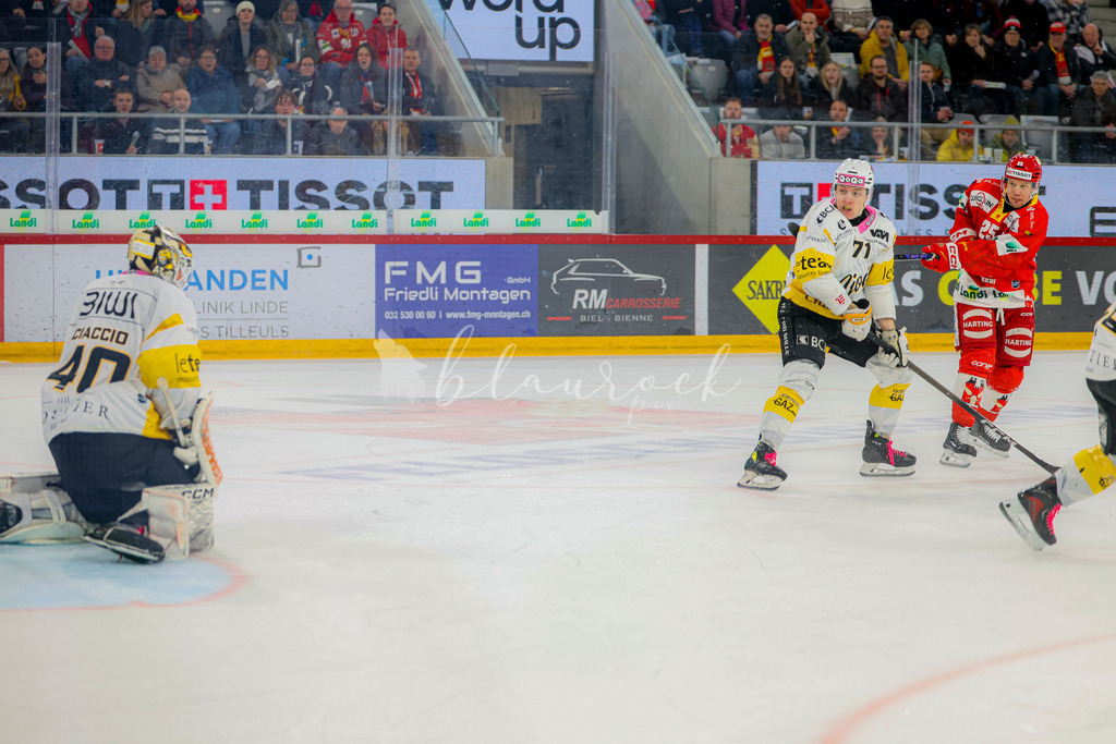 EHCB vs HCA 20260127_wb-9539 | Sportbilder, Sportfotograf, Hochzeits- und Eventfotografin, Flugshows, Portraits und Tiershooting, Aviation, Downhill, Nationalleague, Swissleague, International