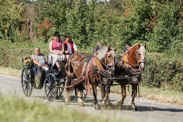 7V6A1337 | natalia-nirschl-photography