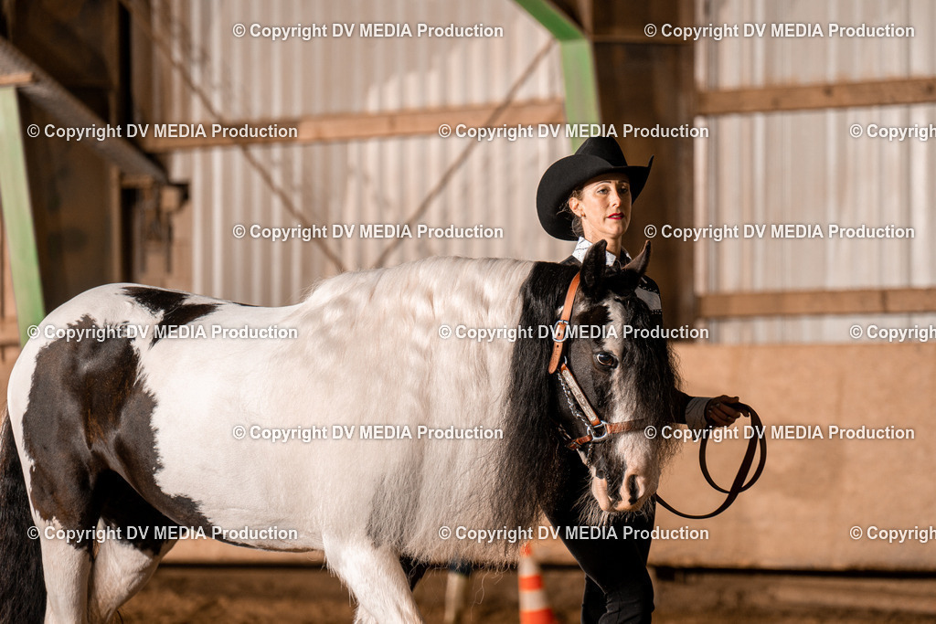 BAL01285 | dv-media-shop - Realisiert mit Pictrs.com