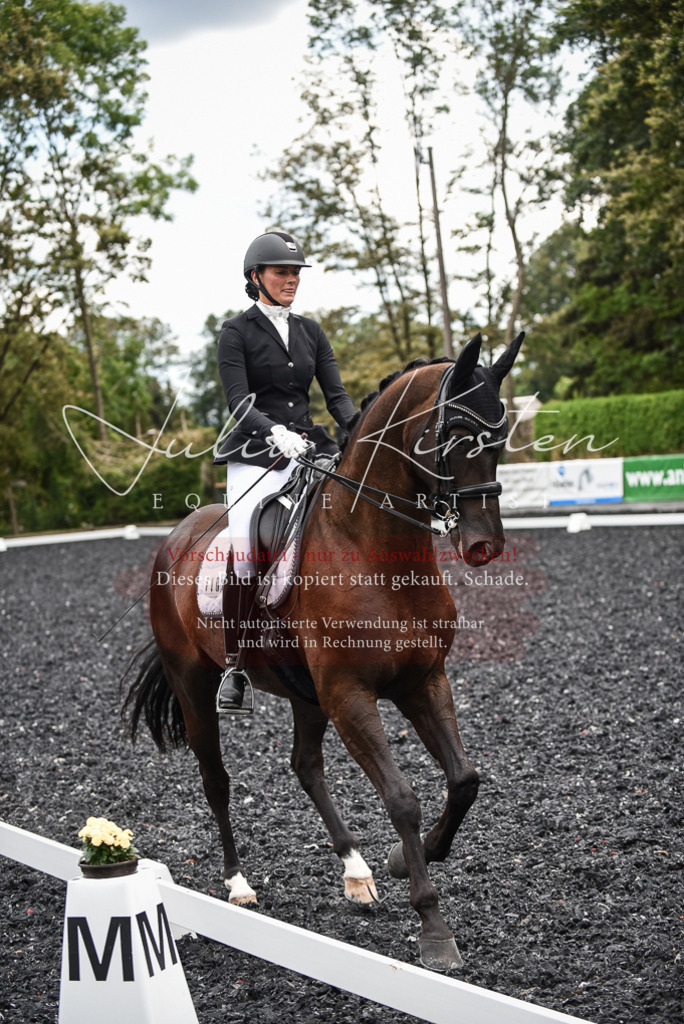 DSC_4864 | Pferde- und Turnierfotografie in Westsachsen. Pferdeportraits, Auftragszeichnungen und intuitive Kunst.