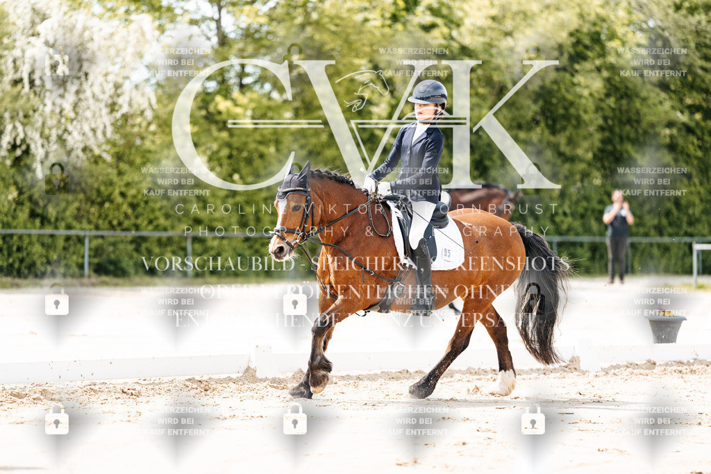CK901710 | Turnierfotografie Pferdefotografie Trier Rheinland-Pfalz Pferdesport Reitsport Tierfotografie Sportfotografie Pferdevideo Pferdevideografie Equestrianvideography equestrianphotography  - Realisiert mit Pictrs.com