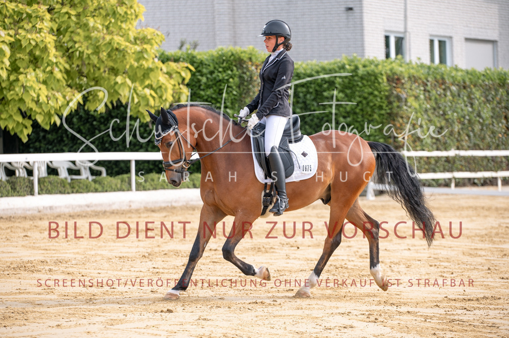 Schugtsche-Aluta25-40.DressurprfA_-145 | Schugtsche Fotografie - Realisiert mit Pictrs.com