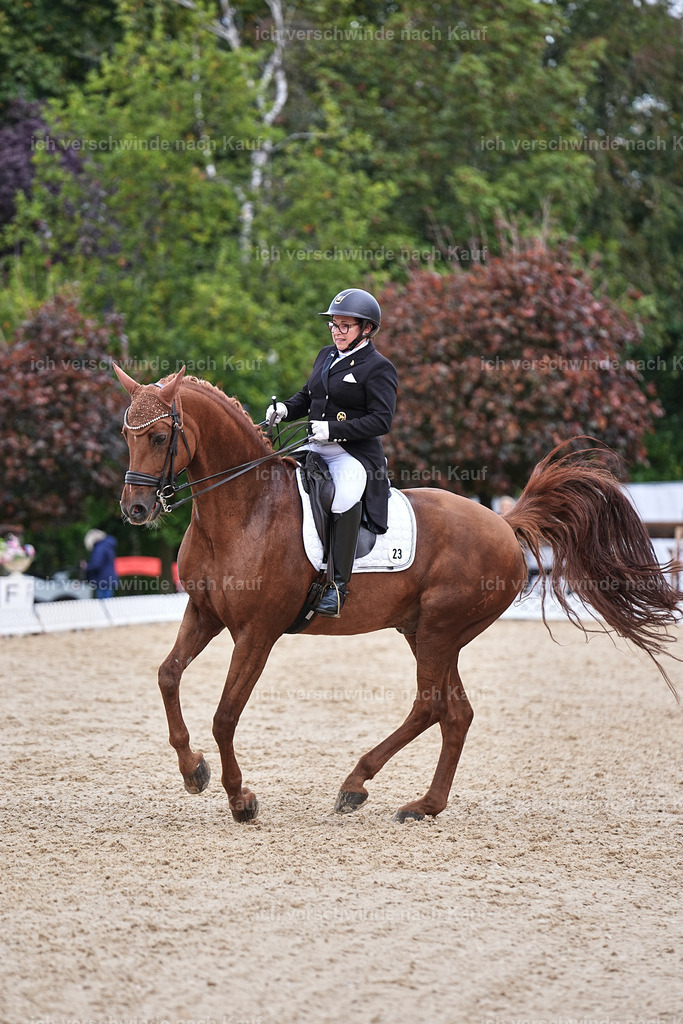 07-023-DRESSUR  S___  -Marixx-5149 | working equitationturnier fotograf videograf stoibphotography marixx film working equitation deutschland reitsport turnierfotografie eventfotografie equestrian events