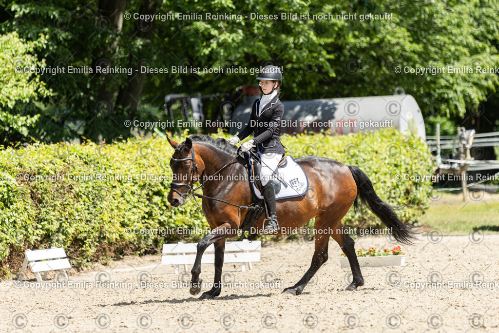 CL5A9500 | Emilia Reinking Fotografie - Realisiert mit Pictrs.com