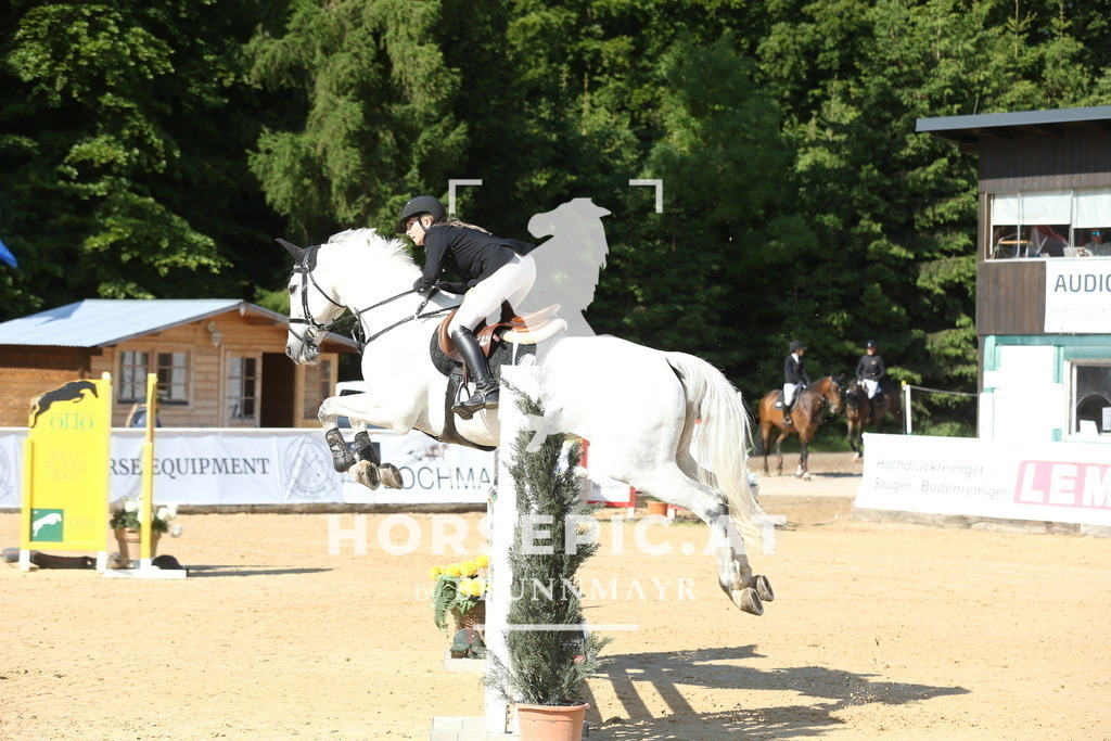 DL2Q0692 | Willkommen bei Brunnmayr - Design & Fotografie – Ihrem Spezialisten für Reitturniere und Pferdeveranstaltungen in Oberösterreich, Salzburg und Bayern! Seit über 17 Jahren sind wir leidenschaftlich dabei.