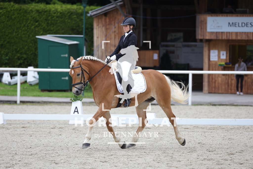 0P6A5229 | Willkommen bei Brunnmayr - Design & Fotografie – Ihrem Spezialisten für Reitturniere und Pferdeveranstaltungen in Oberösterreich, Salzburg und Bayern! Seit über 17 Jahren sind wir leidenschaftlich dabei.