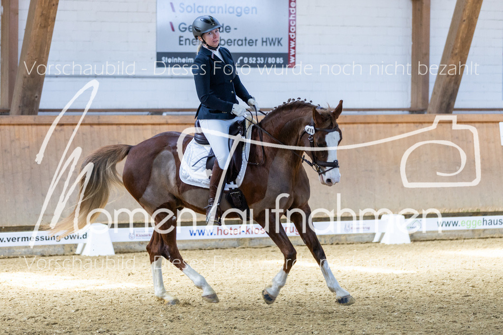 Sth-LPO25-DrR-L-169 | MomenTaufnahmen Pferdesportfotos