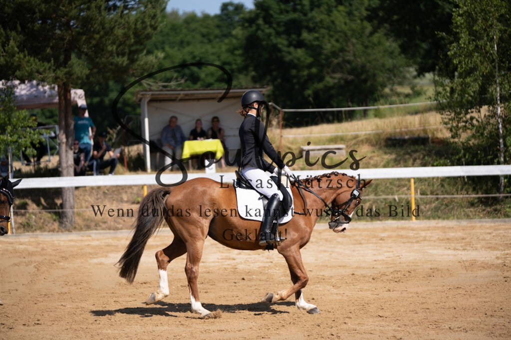 A7V07832 | Turnier/Reitfotograf