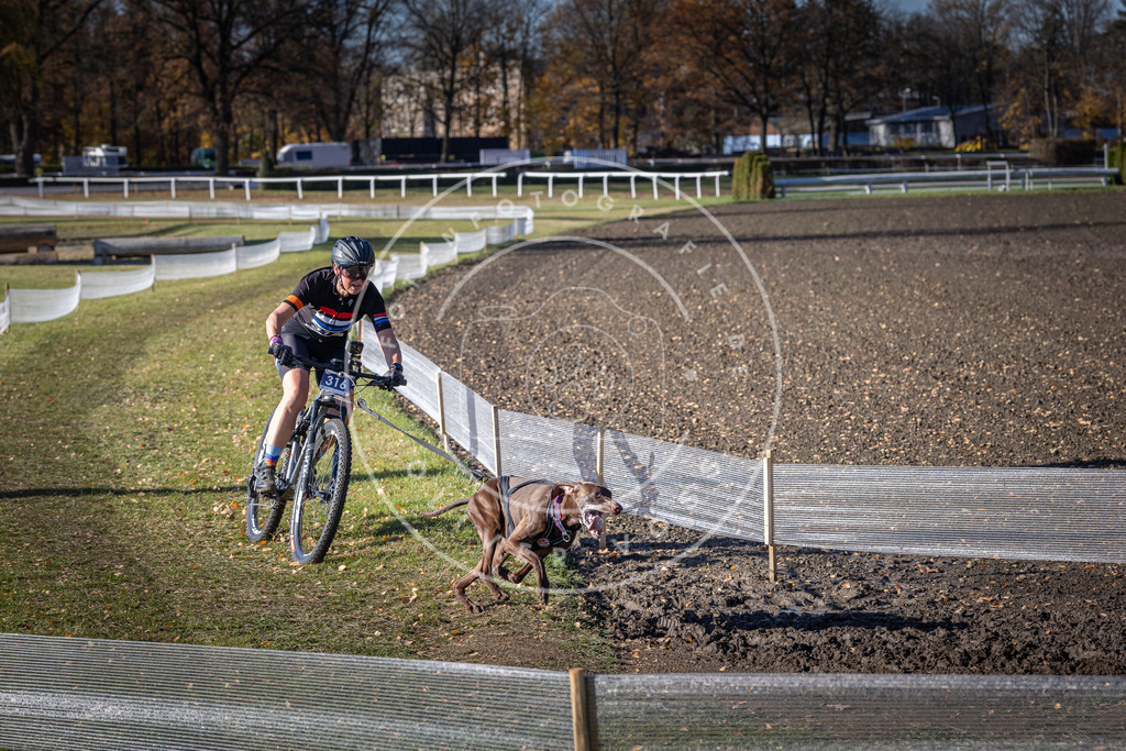 CaniXpix_DV3A6424 | Hundefotografie, Tierfotograf, Pfotenfotografie, Fotoshooting Hund, Hunde Portrait, Hundesport, Hundeportraits, Heideshooting, Hunde, Sportfotograf, Hundefotograf, Turnierhundsport, THS,  - Realisiert mit Pictrs.com