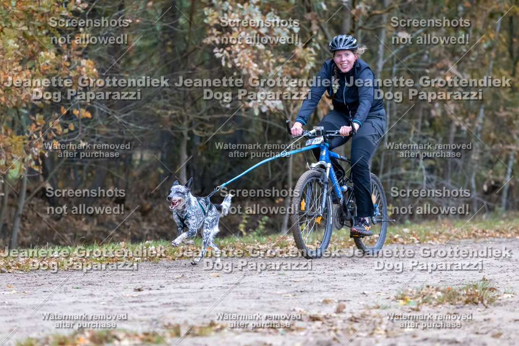 Dog Paparazzi - SD CaniX Championship 2025-275 | Dog Paparazzi Jeanette Grottendiek Fotografie & Videografie - Realisiert mit Pictrs.com