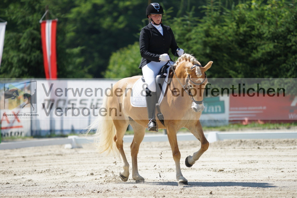 DSC02213 | equestrian-live-com