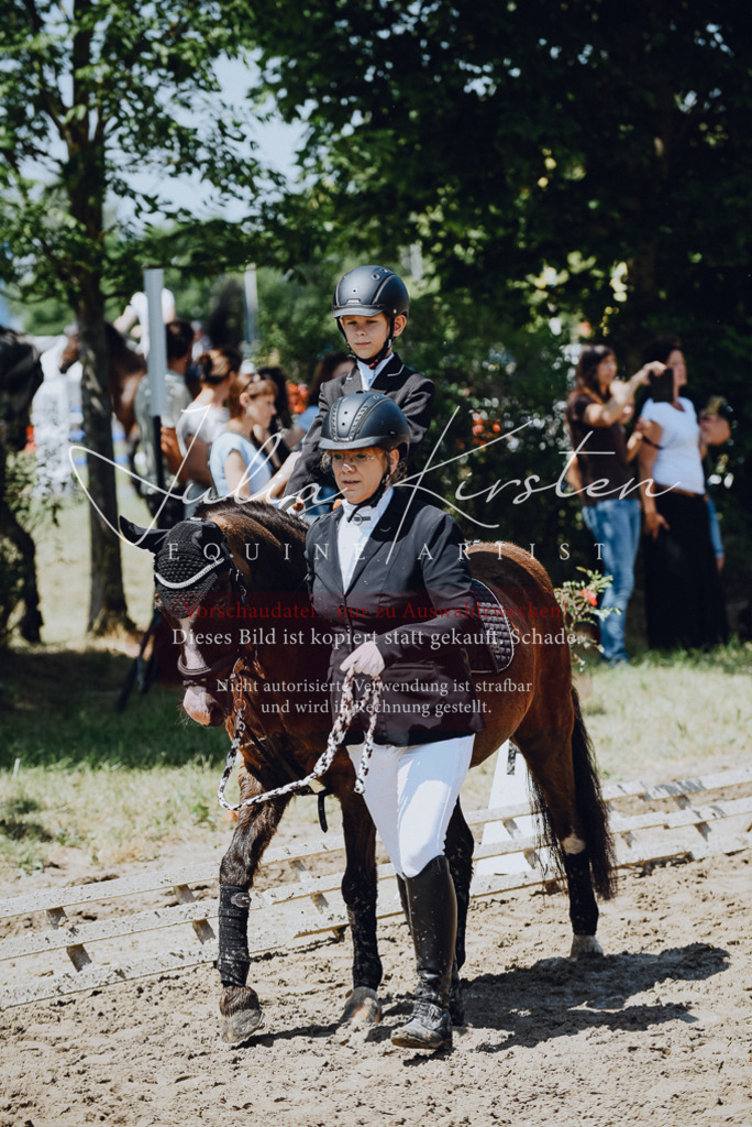 DSC_2171 | Pferde- und Turnierfotografie in Westsachsen. Pferdeportraits, Auftragszeichnungen und intuitive Kunst.