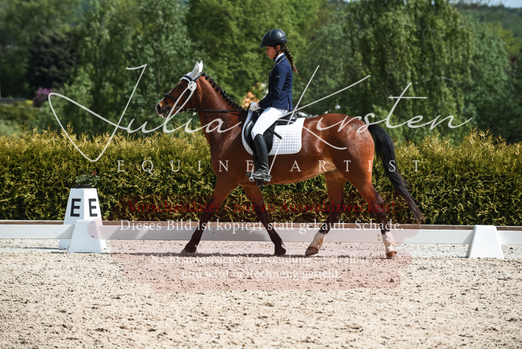 20230518_JK-Röhrsdorf-11-0688 | Pferde- und Turnierfotografie in Westsachsen. Pferdeportraits, Auftragszeichnungen und intuitive Kunst.