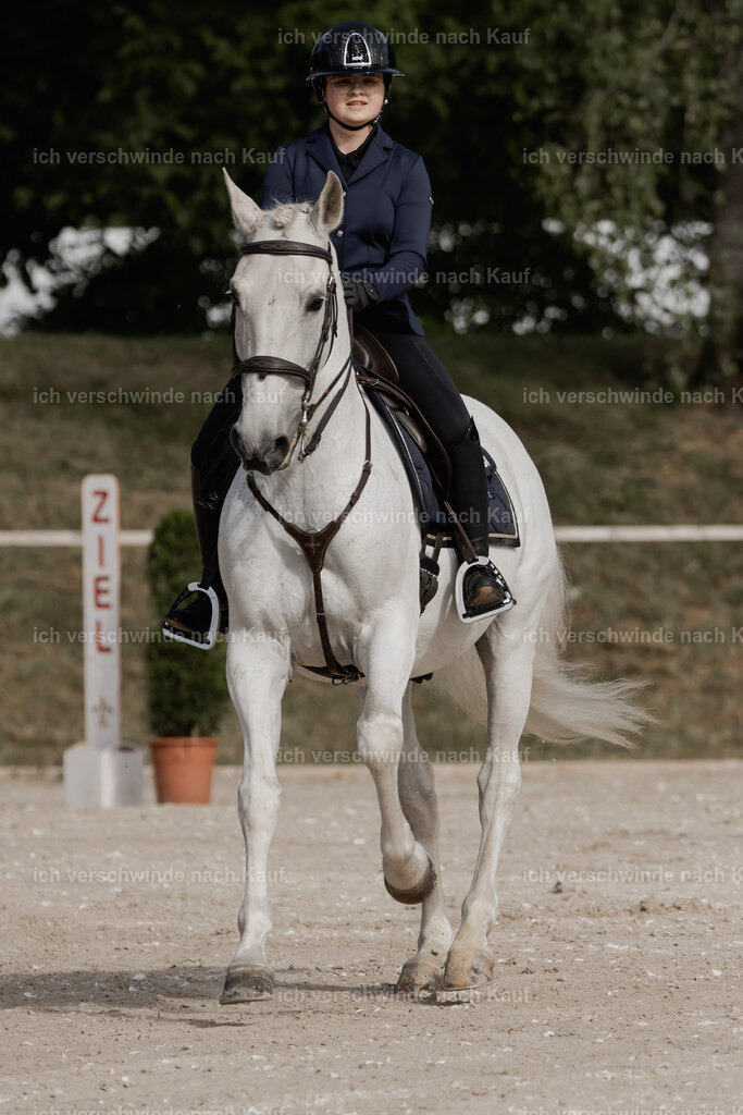 WE_ST_Stoib_328_PI2025_863 | Pferd International München 2025