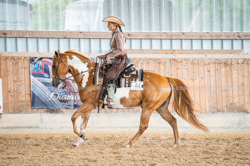 DSC00170 | Pferdegrafie