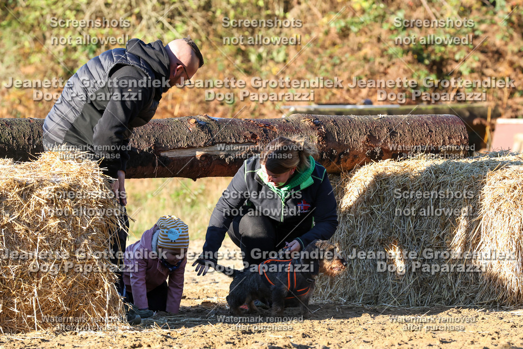 Dog Paparazzi - Strongdog 10-25-1018 | Dog Paparazzi Jeanette Grottendiek Fotografie & Videografie - Realisiert mit Pictrs.com