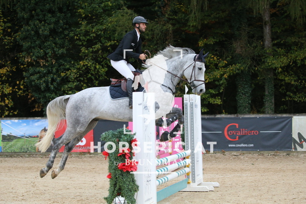 DL2Q3861 | Willkommen bei Brunnmayr - Design & Fotografie – Ihrem Spezialisten für Reitturniere und Pferdeveranstaltungen in Oberösterreich, Salzburg und Bayern! Seit über 17 Jahren sind wir leidenschaftlich dabei.