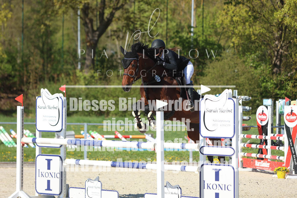 IMGM2650 | pl-fotografie