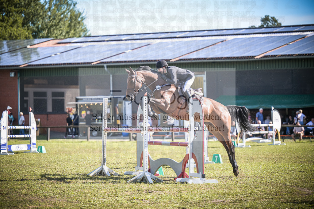 DOS_0503 | Entdecke hochwertige Reitturnierfotos von Foto Oger. Professionell, emotional und authentisch – jetzt Lieblingsmomente im Shop bestellen.Deutschlandweite Turnierfotografie. - Realisiert mit Pictrs.com