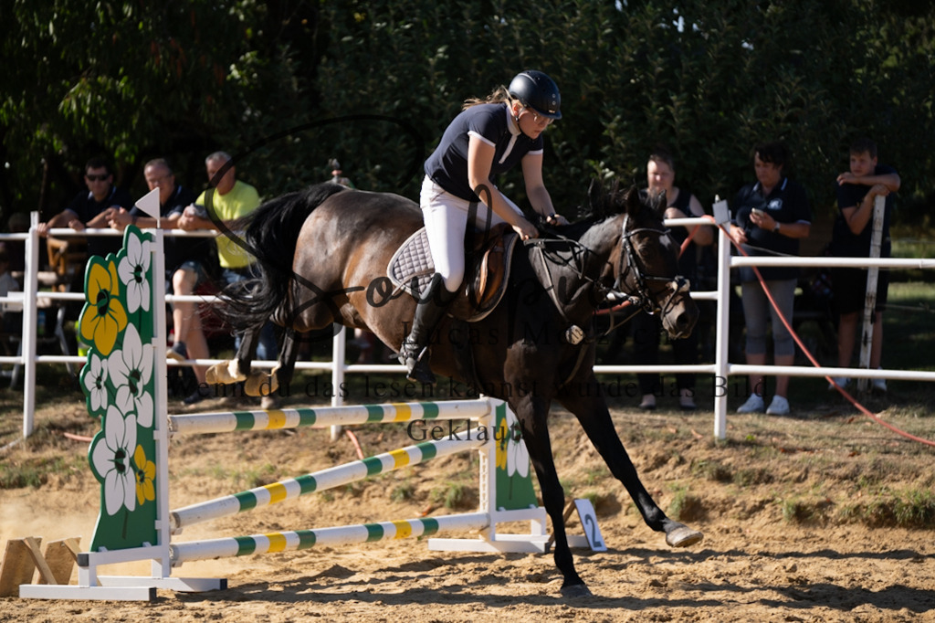 A7V02591 | Pferdefotograf