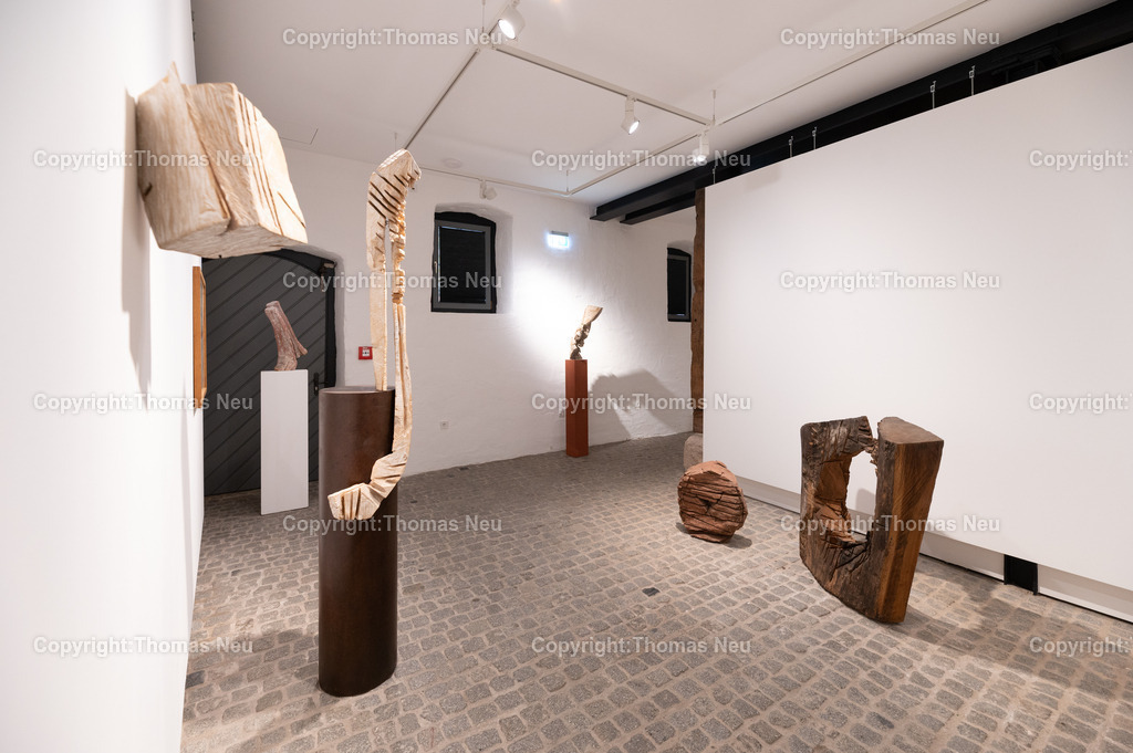 DSC_9319 | Museum Bensheim, Ausstellung Jochen Walpoth, 