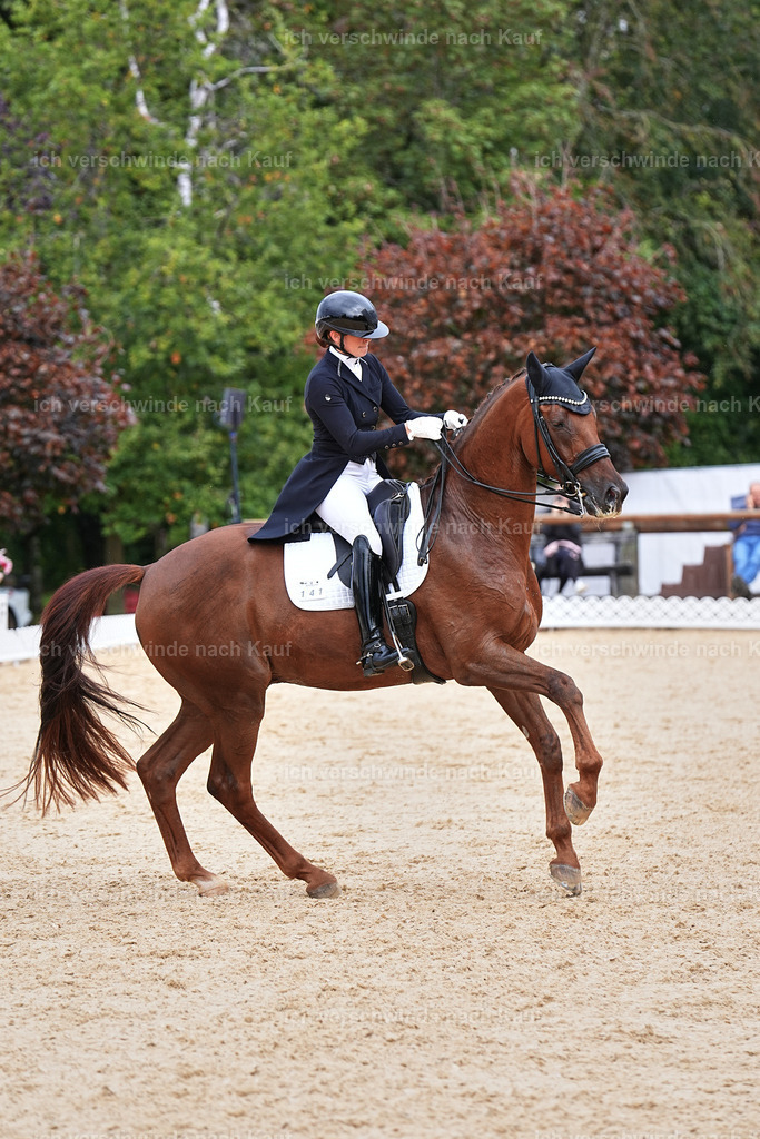 11-141-Dressur S___-Marixx-1843 | working equitationturnier fotograf videograf stoibphotography marixx film working equitation deutschland reitsport turnierfotografie eventfotografie equestrian events