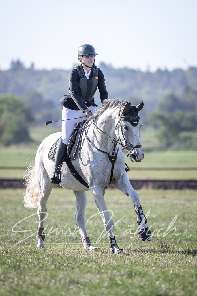 20260906-_3LI1529 | Tierfotografie Pferde, Hunde, Katzen, Haustiere.
Turnierfotografie Reitturniere, Reiten, Springreiten, Dressur in Hanau, dem Main-Kinzig-Kreis und dem Rhein-Main- Gebiet um Frankfurt