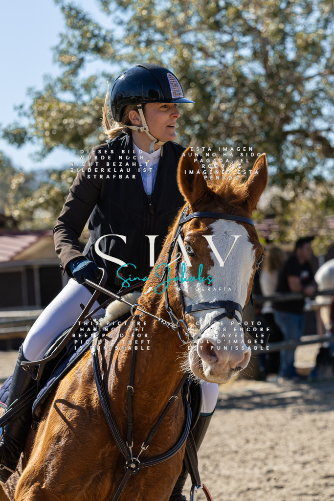 IMG_0775 | s-jay-photography - Realisiert mit Pictrs.com