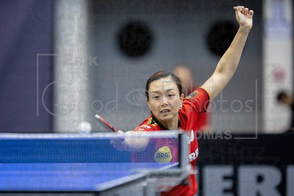 European_Championships_2024-10-18_189 | good-photos - Realisiert mit Pictrs.com