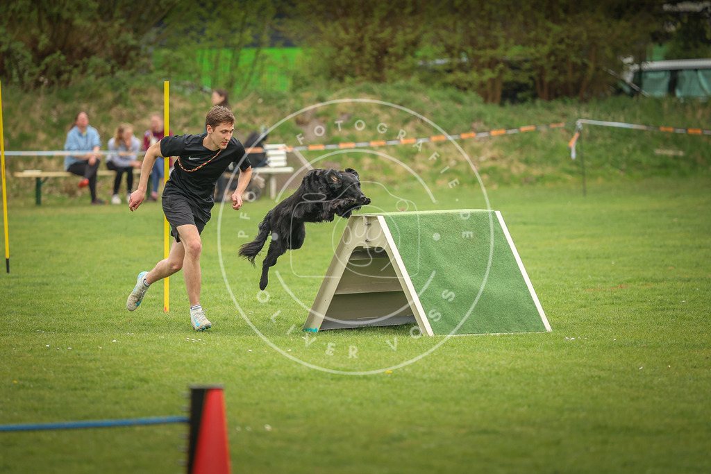 Pfotenfotografie_0L8A1461 | Hundefotografie, Tierfotograf, Pfotenfotografie, Fotoshooting Hund, Hunde Portrait, Hundesport, Hundeportraits, Heideshooting, Hunde, Sportfotograf, Hundefotograf, Turnierhundsport, THS,  - Realisiert mit Pictrs.com