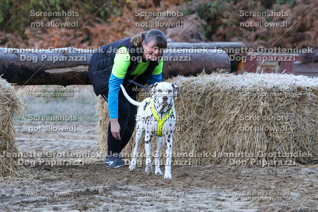 Dog Paparazzi - Strongdog 10-25-303 | Dog Paparazzi Jeanette Grottendiek Fotografie & Videografie - Realisiert mit Pictrs.com