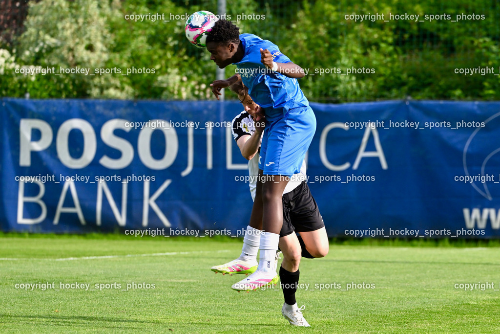 SAK vs. SV Spittal Drau 1921 | #14 Andre Le Prince Chedjou Fonkou SAK, SAK vs. SV Spittal Drau 1921, SAK vs. SV Spittal Drau 1921 am 23.05.2025 in Klagenfurt (Sportpark Welzenegg), Austria, (Photo by Bernd Stefan)