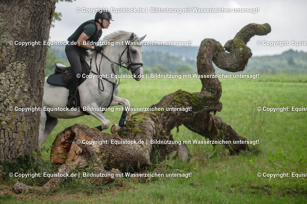 20250726_Vielseitigkeitslehrgang-Marbach_0577 | Foto: Thomas Hartig